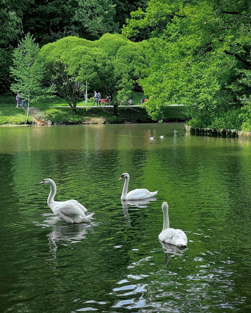 Photograph by Анастасия Каланакова