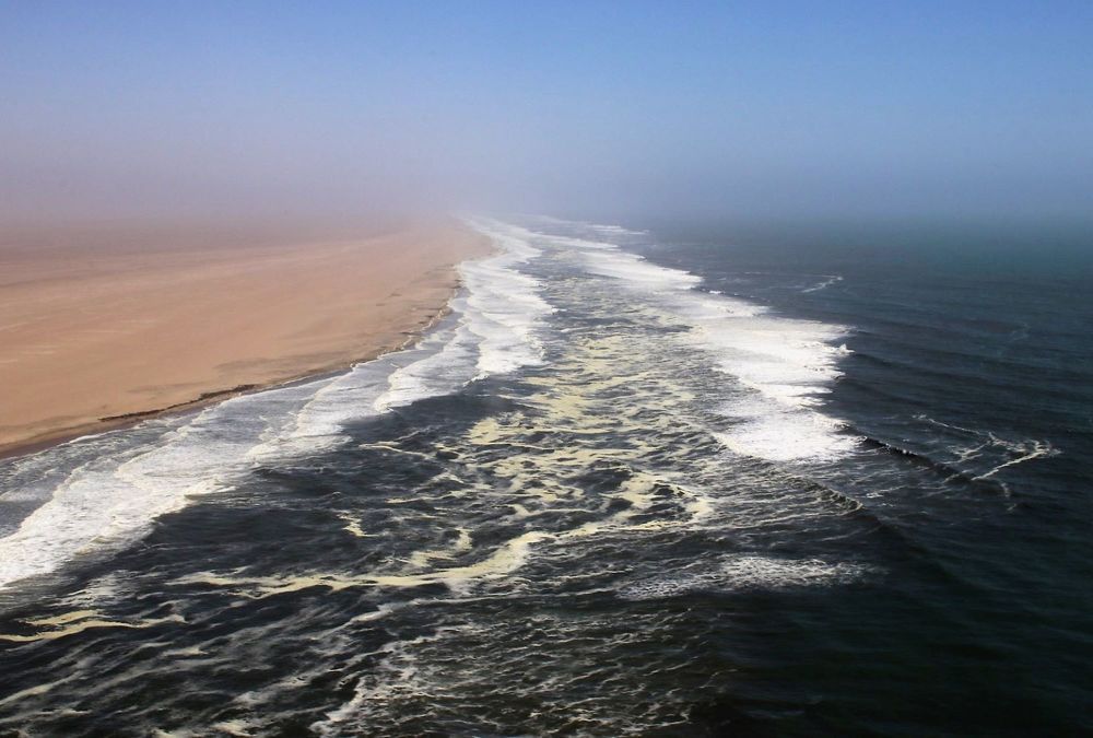 Фотография автора caroline martin (dony)