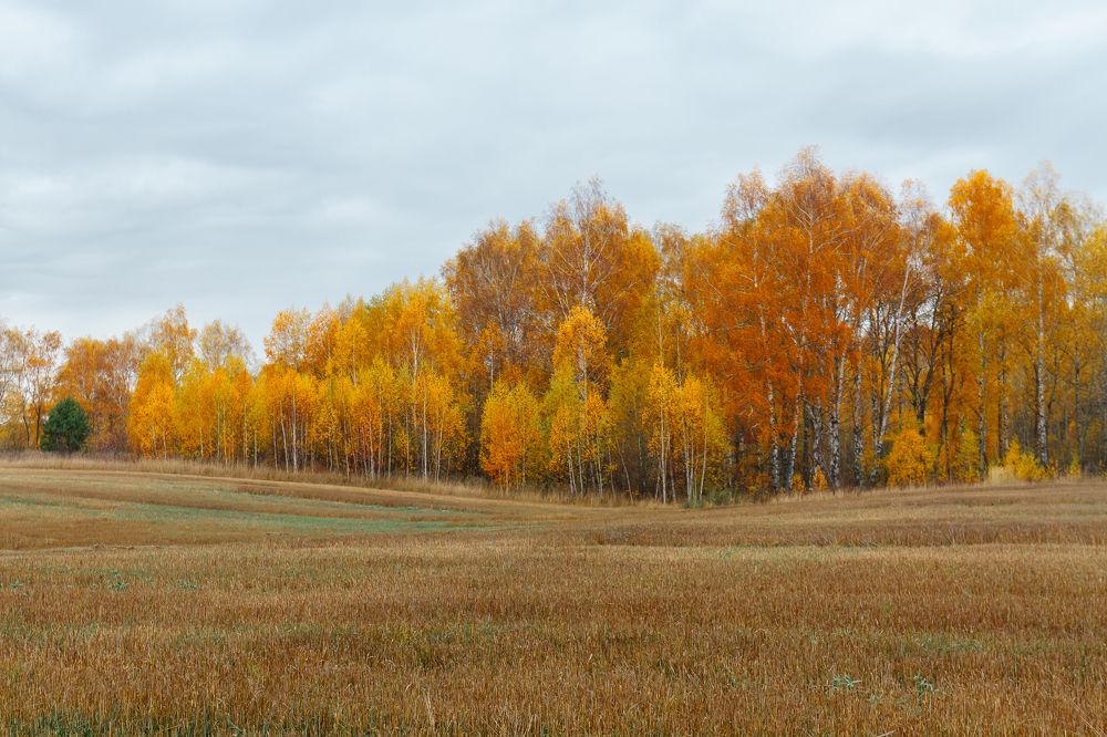 Photograph by Николай Астанин