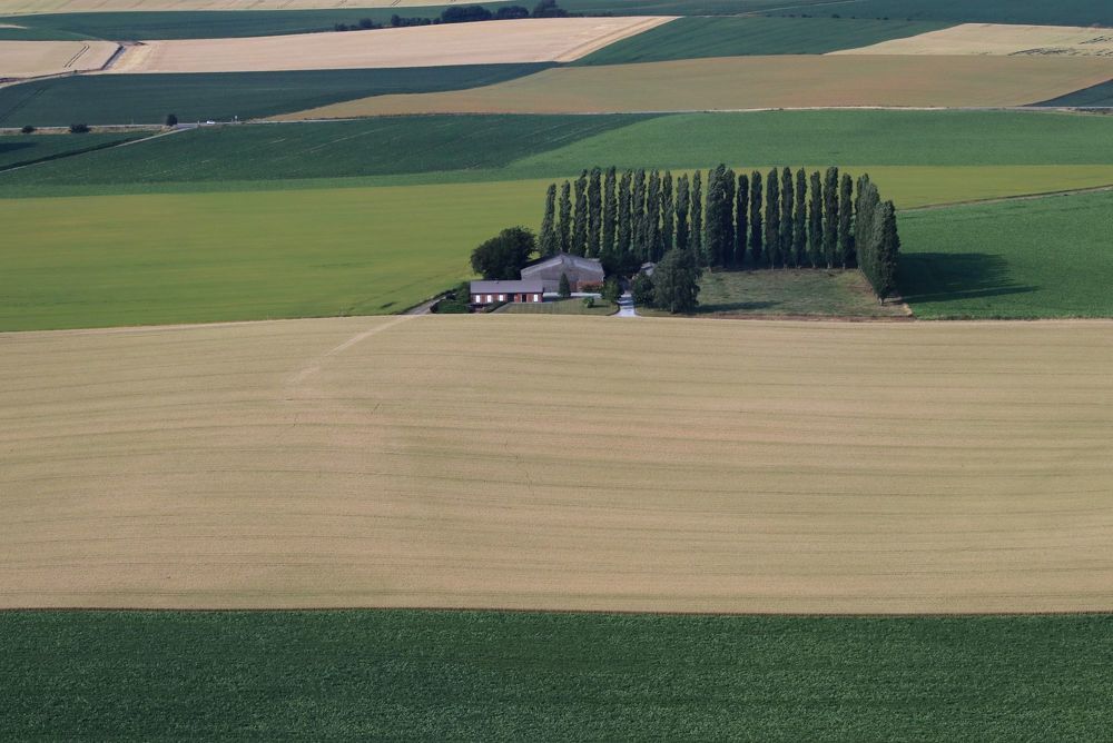 Фотография автора caroline martin (dony)