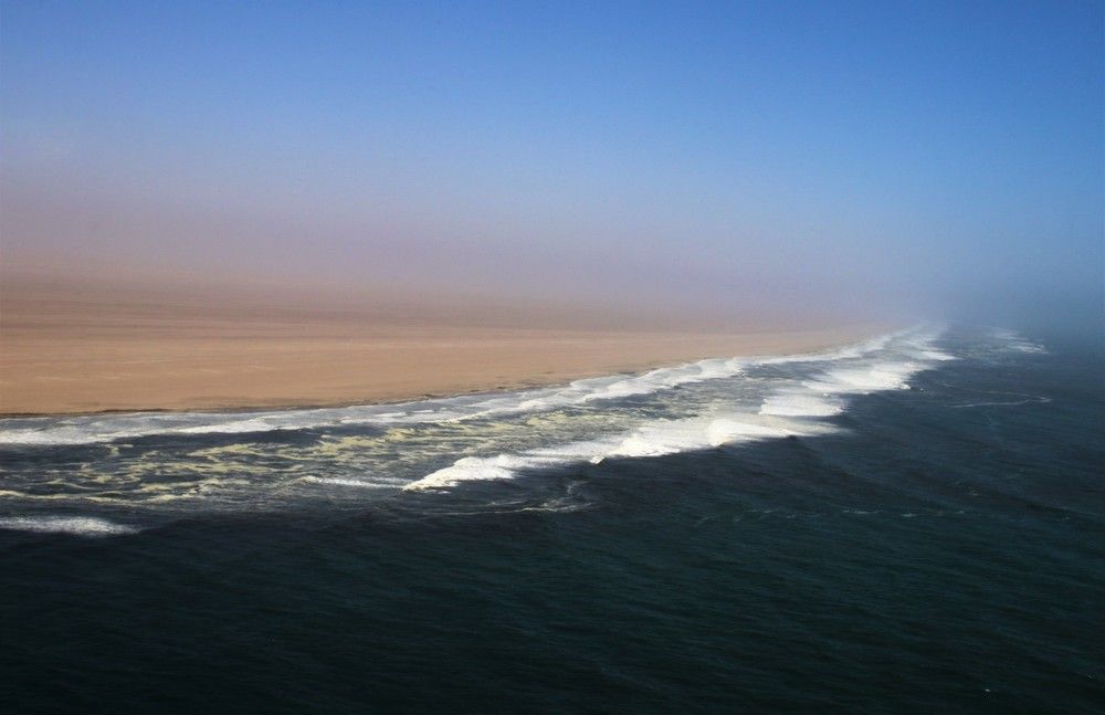 Фотография автора caroline martin (dony)