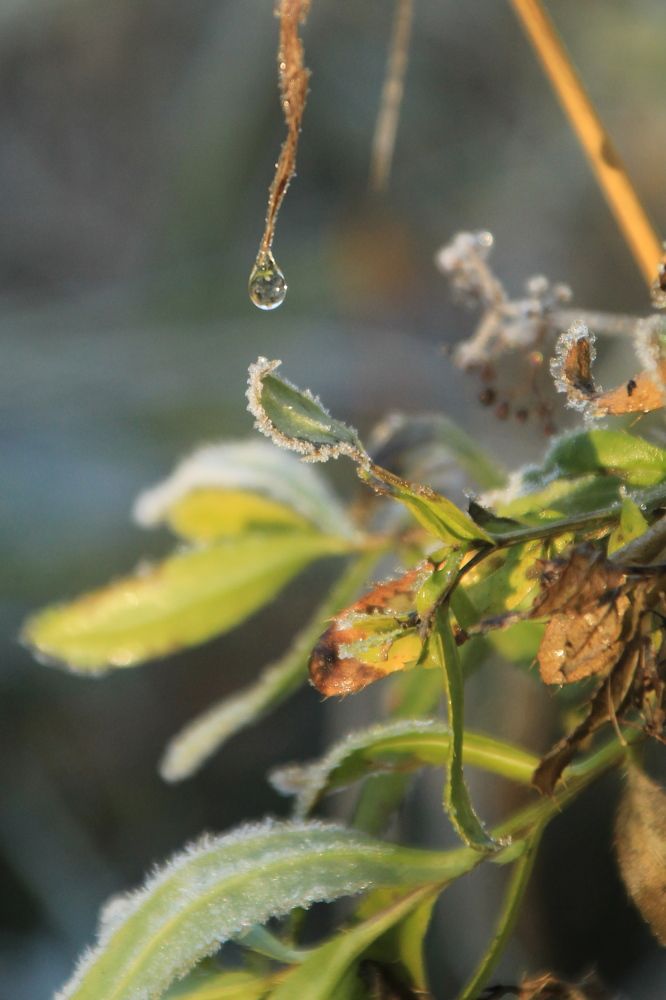 Photograph by Илья Беликов