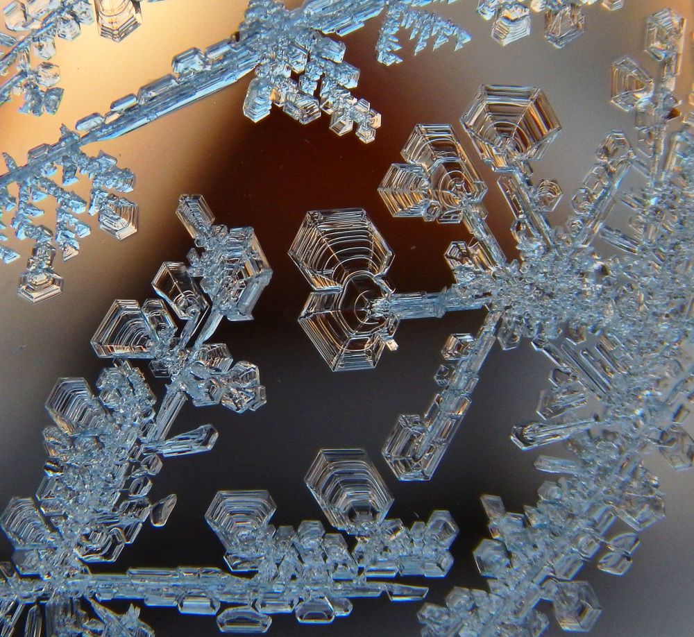 Зимняя поляна