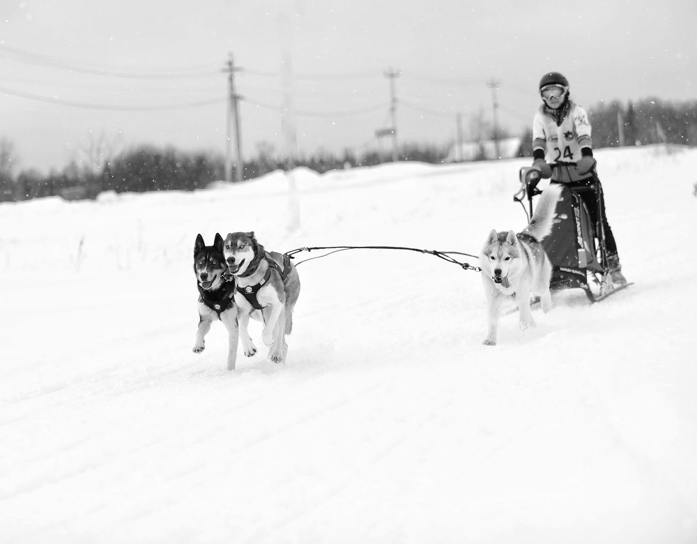 Photograph by Елена Одынец