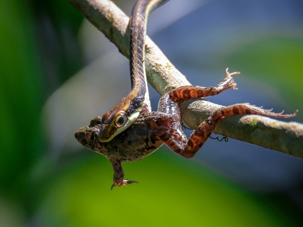 Photograph by Bidyut Kalita