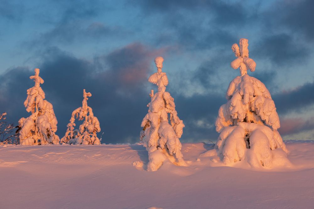 Photograph by  Толяныч-