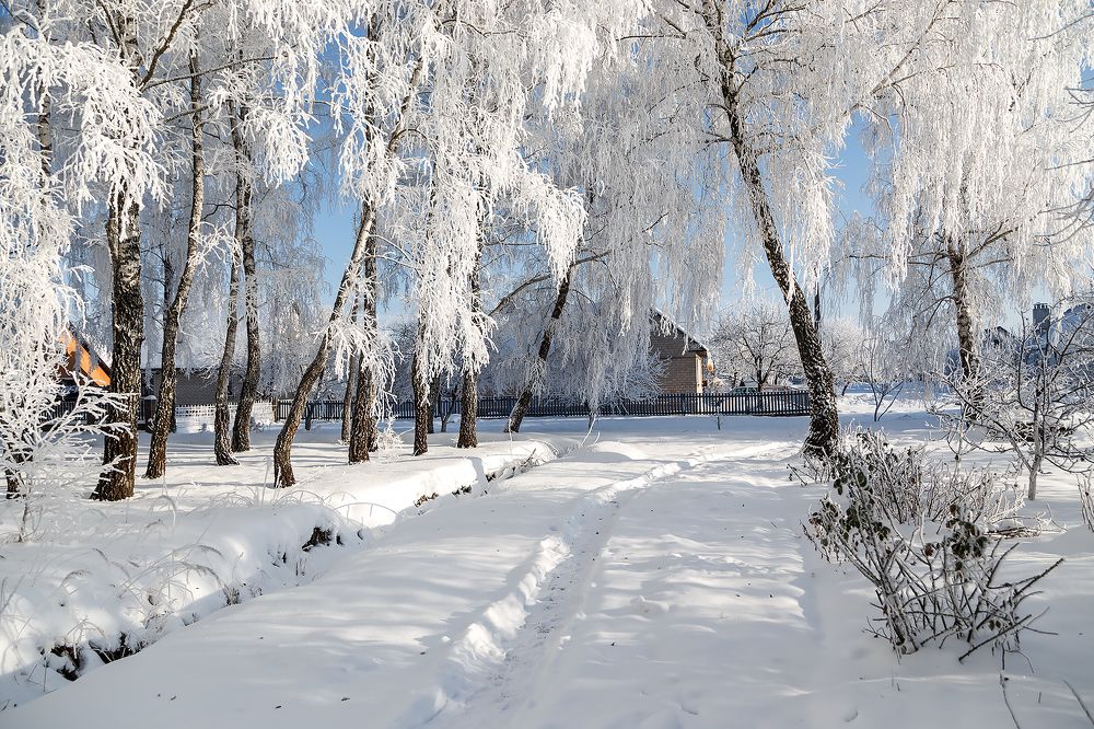 Photograph by Сергей Крышен