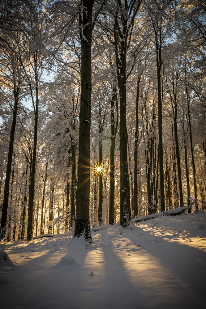 Photograph by Petr Musil