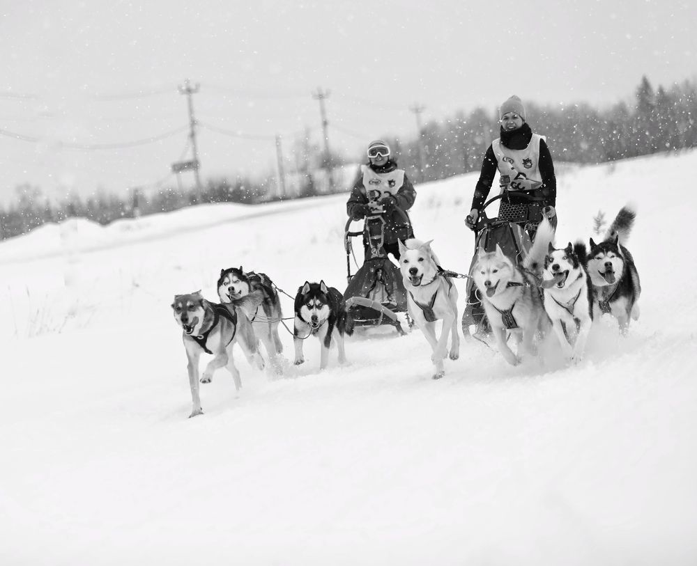 Photograph by Елена Одынец