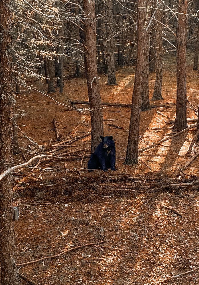 Photograph by Kali Richardson