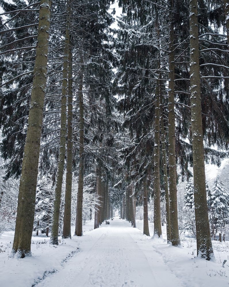 Фотография автора Юра Кладухин