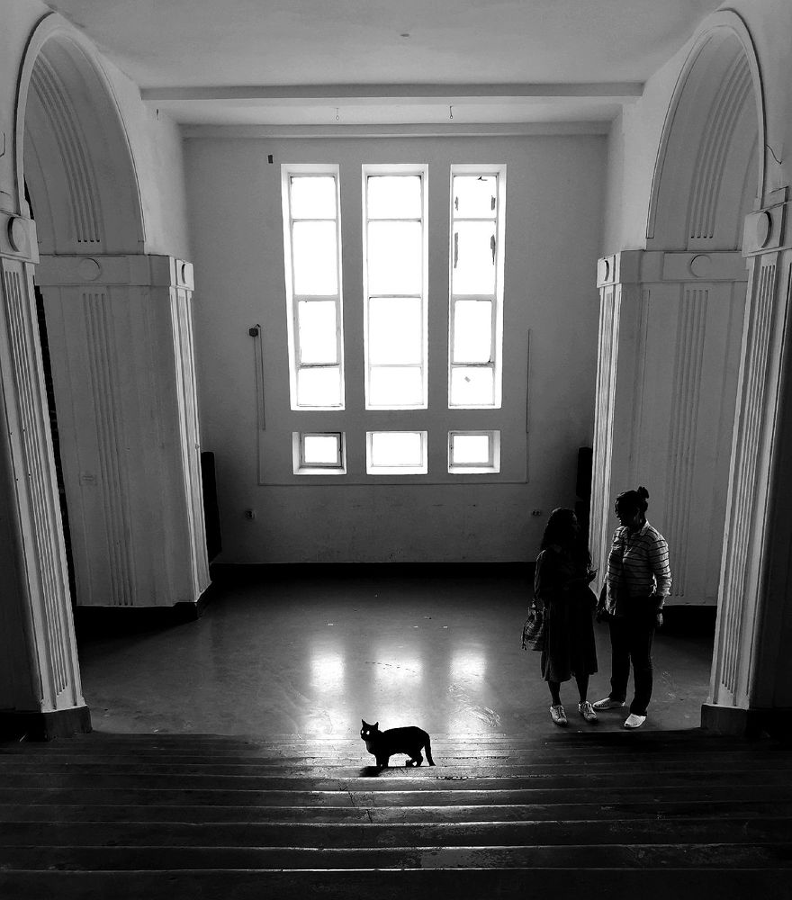 Фотография автора Андрей Богданов