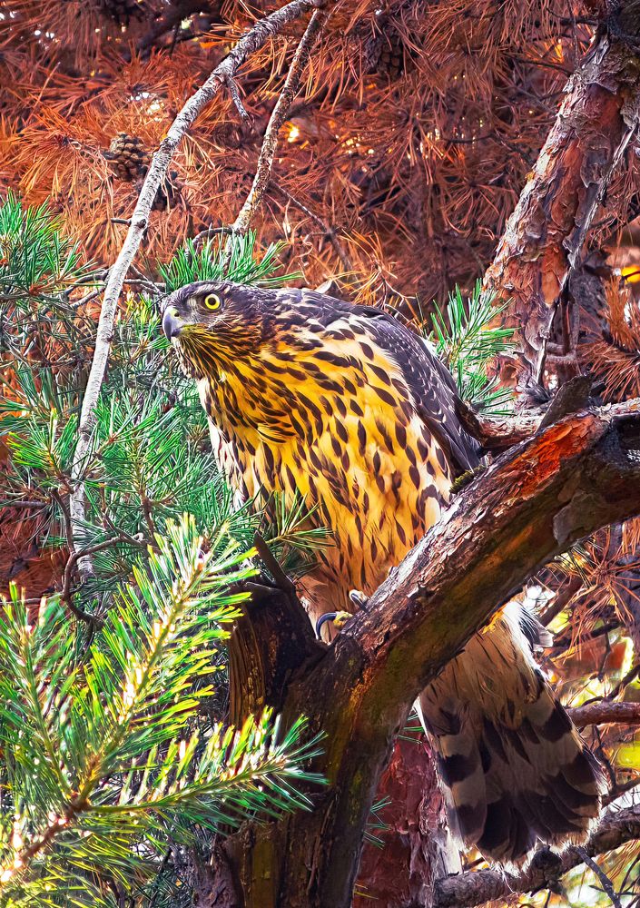 Photograph by Парфентьев Антон