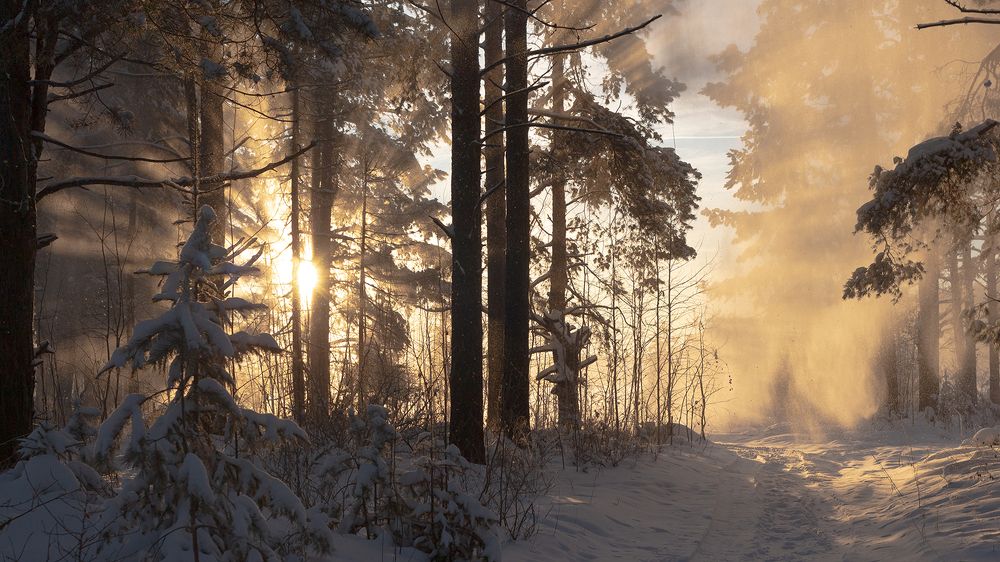 Photograph by Гордиенко Дмитрий