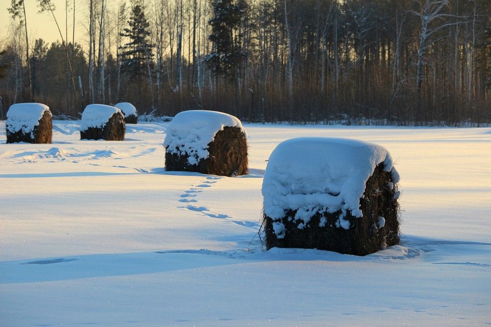 Photograph by Галина Мазур