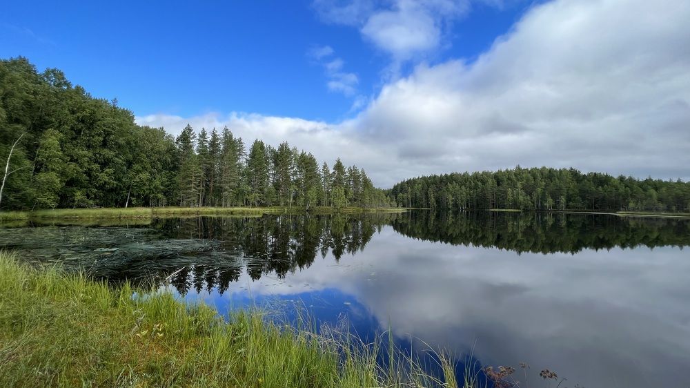 Photograph by Зоя