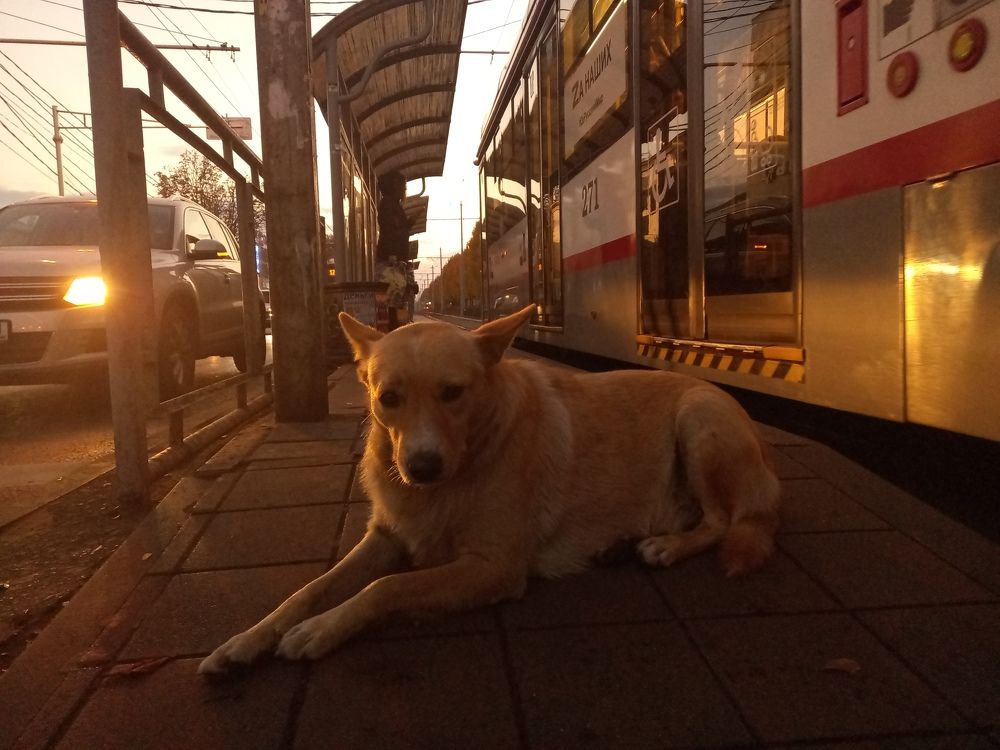 Photograph by Марина Храпова