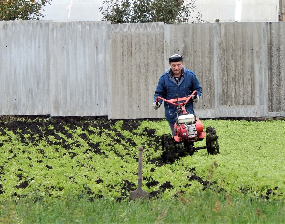 Photograph by Ирина Самойленко