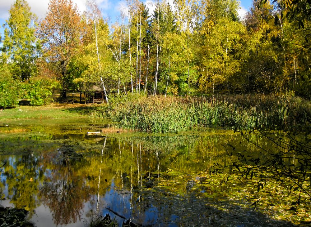 Фотография автора Milena Ivanova