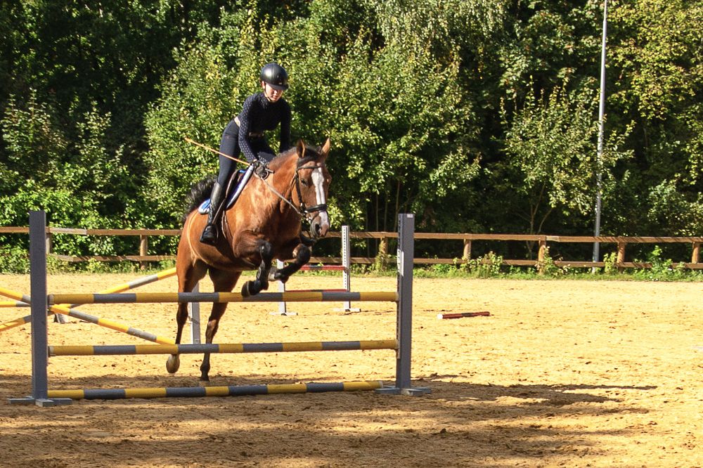 Лошади России