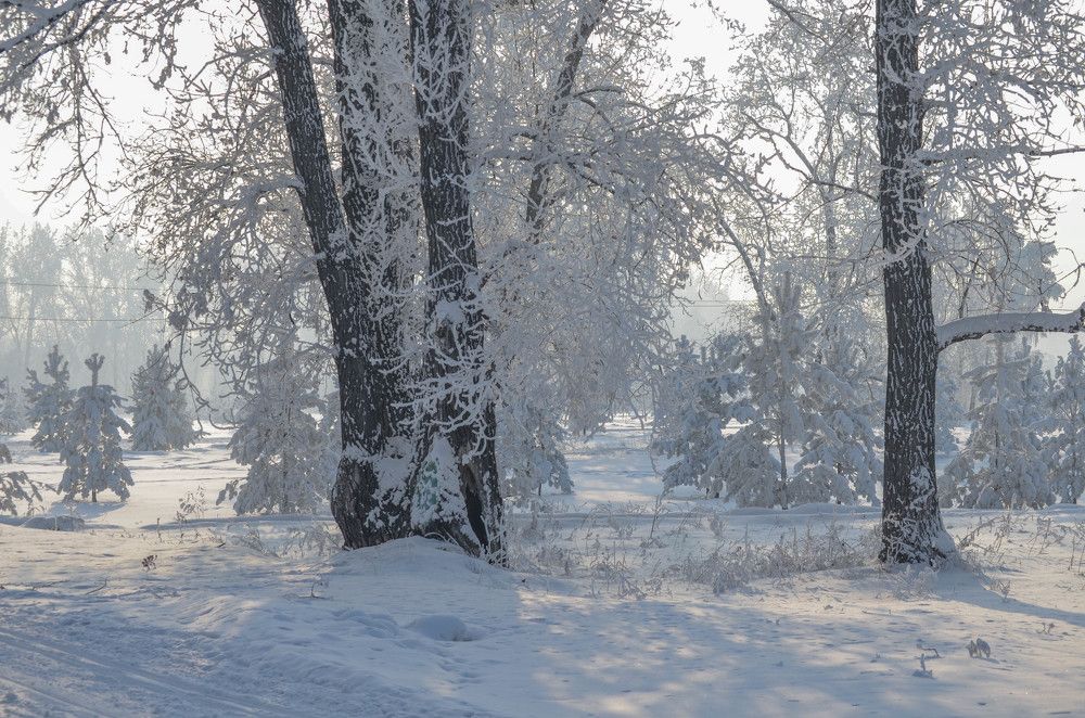 Фотография автора Григорий Червяков