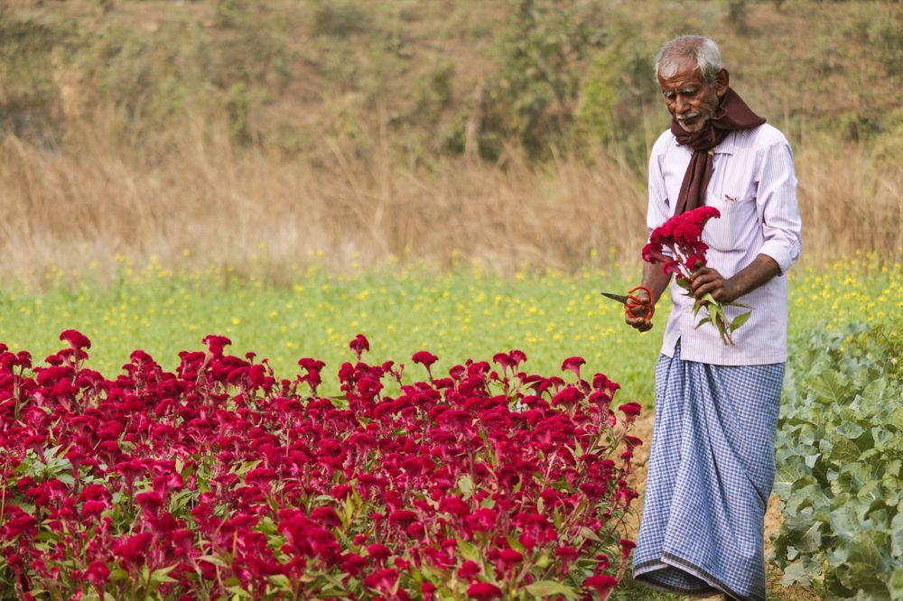Photograph by Shounak Pal