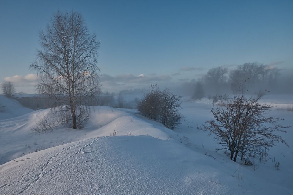 Photograph by Albina Kulikova