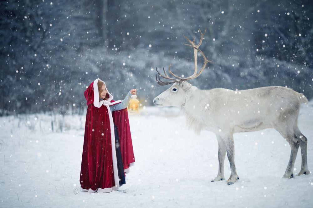 Photograph by Маргарита Черкасова