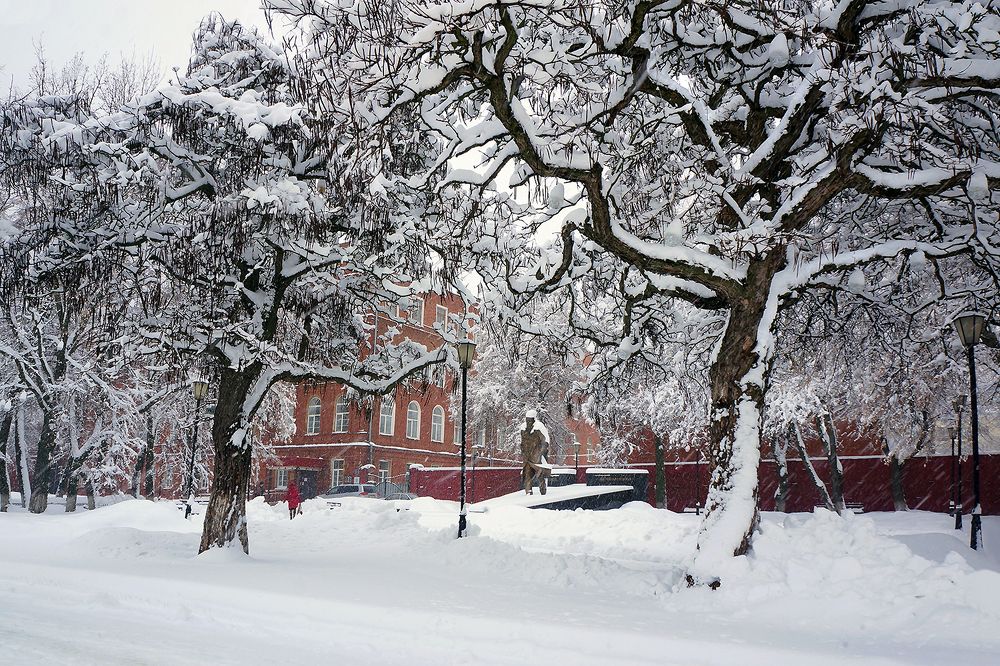 В ЗИМНЕМ ПАРКЕ