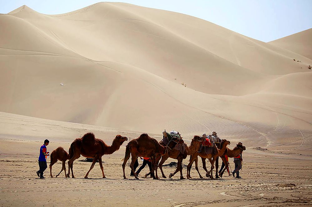 Photograph by mehdi karimi souderjani