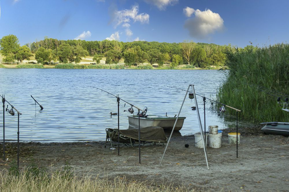 Фотография автора János Rábli