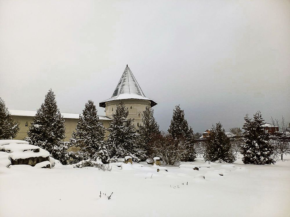 Photograph by Ирина Саломатина