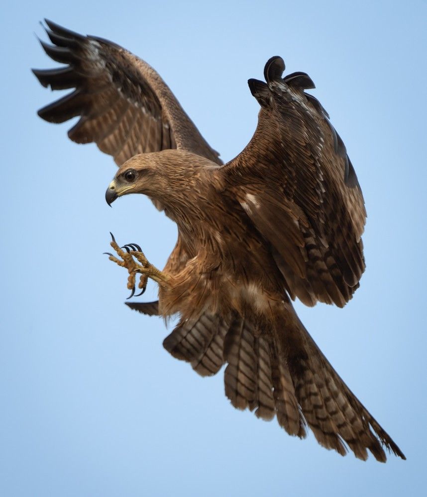 Фотография автора Prejul Prakash