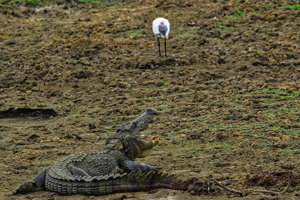 Photograph by Михаил Баевский