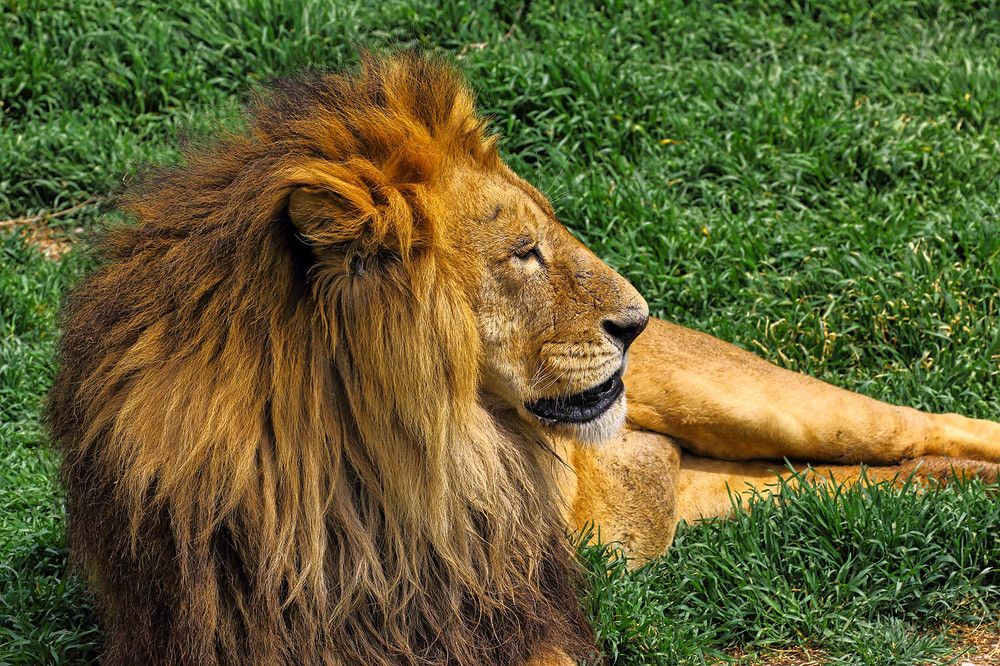 Photograph by Михаил Баевский