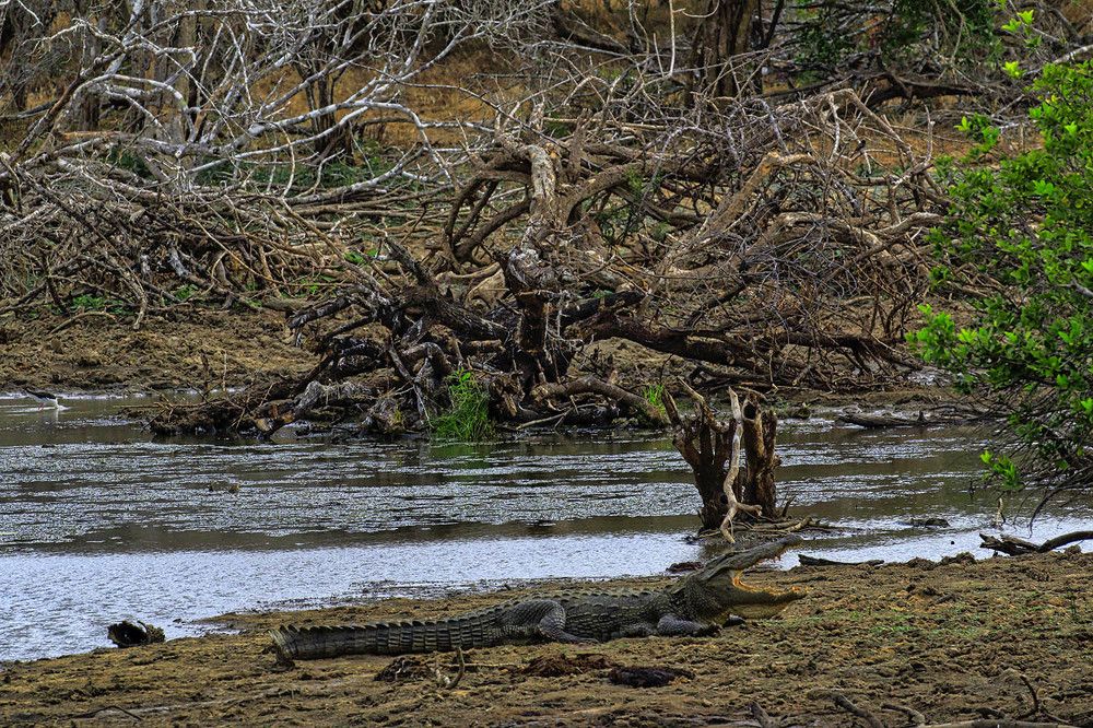 Photograph by Михаил Баевский