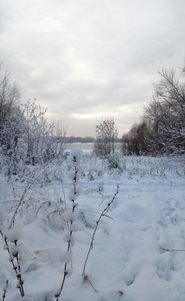 Photograph by Алиса Лукина