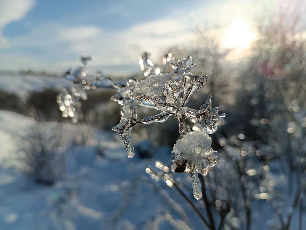 Photograph by Светлана Кондрашова