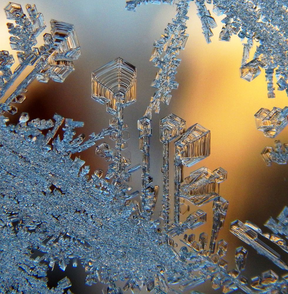 Зимняя поляна