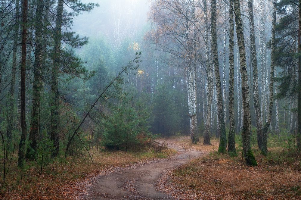 Photograph by Дарья Кончакова