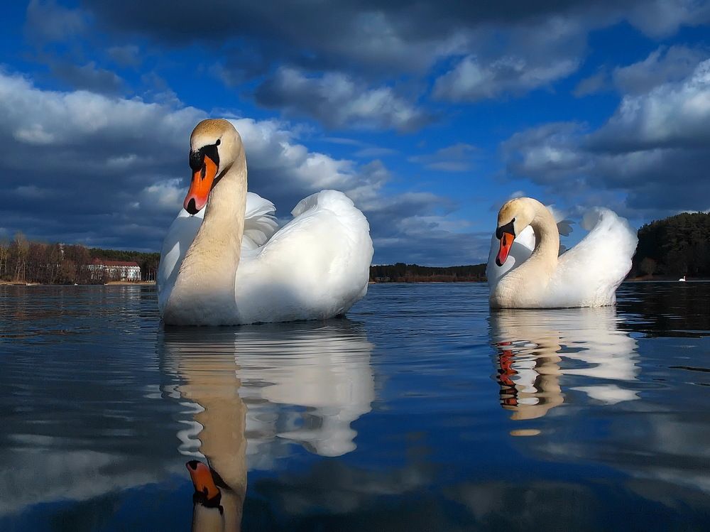 Photograph by Игорь Чеботарёв