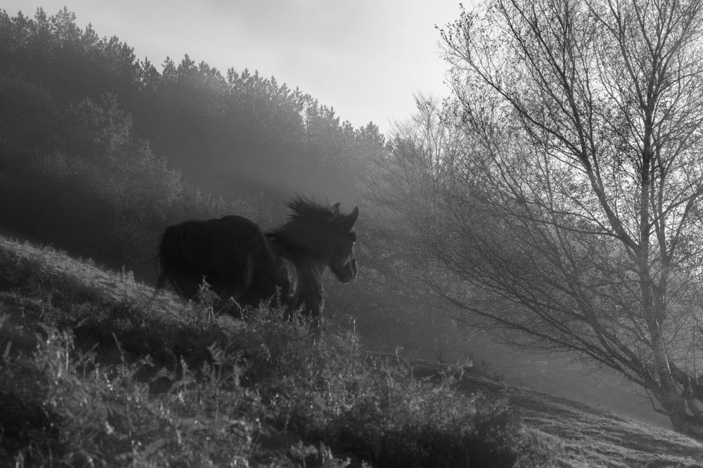 Photograph by Igor Vinogradov