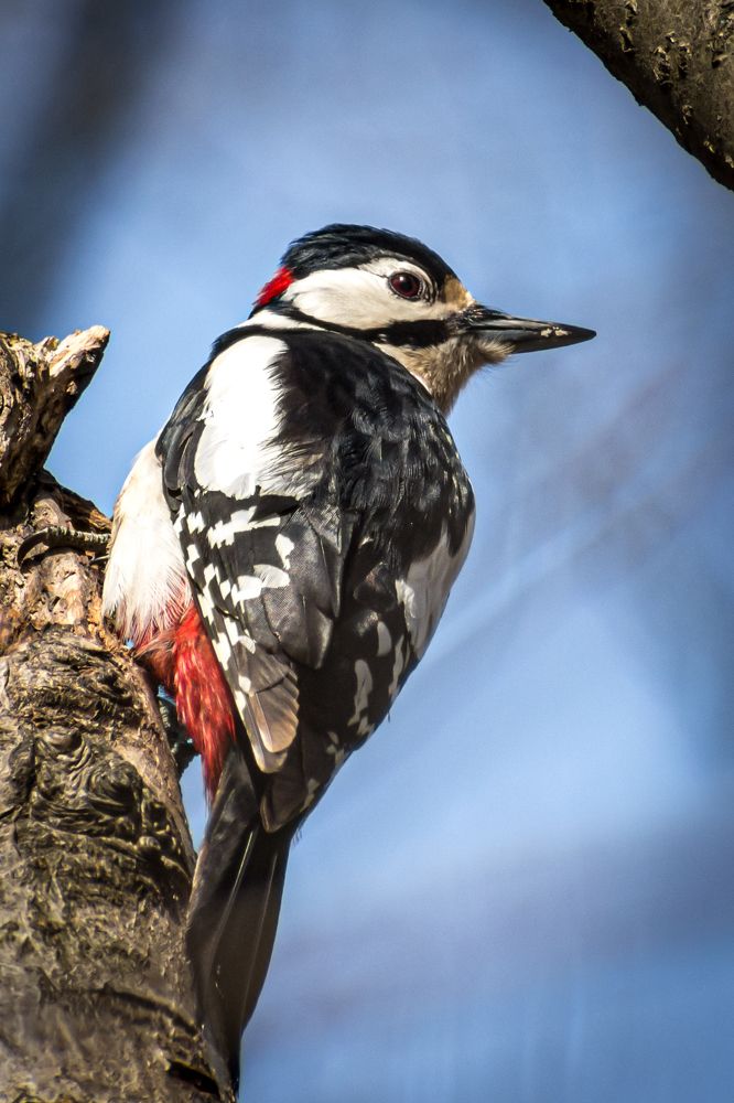 Photograph by София Беляева