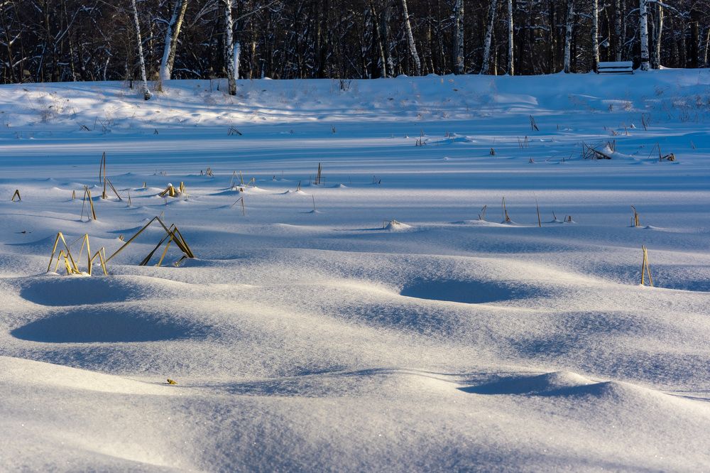 Photograph by Галина Аскольдовна Луковникова