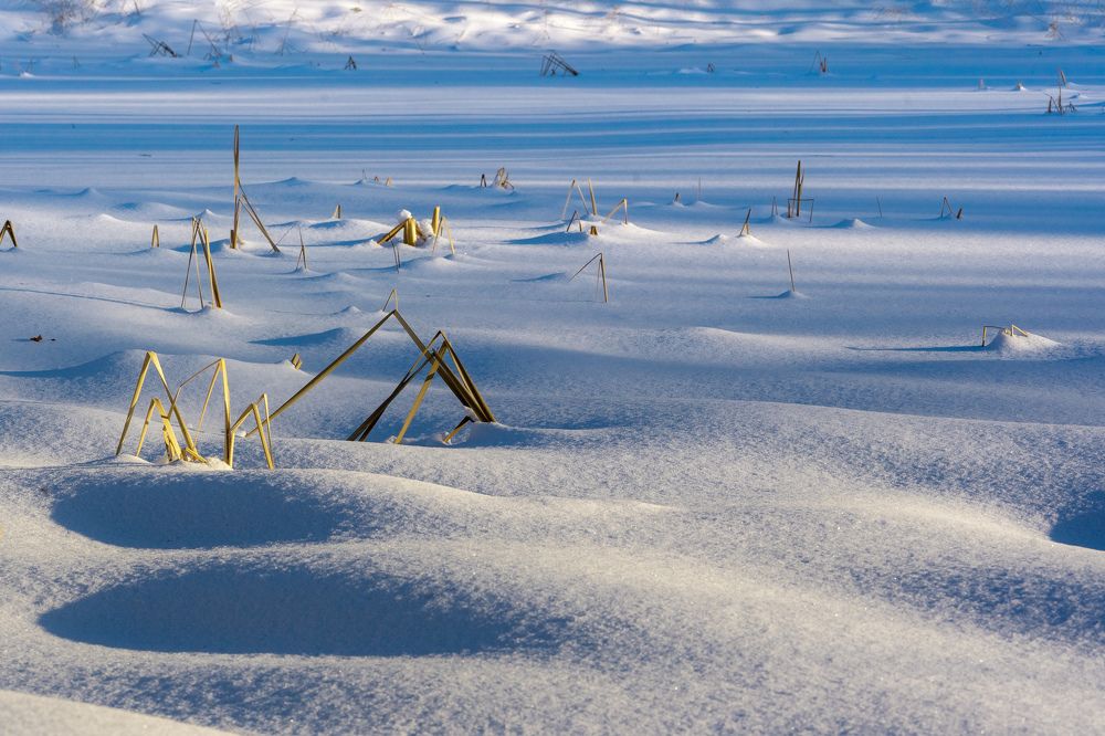 Photograph by Галина Аскольдовна Луковникова