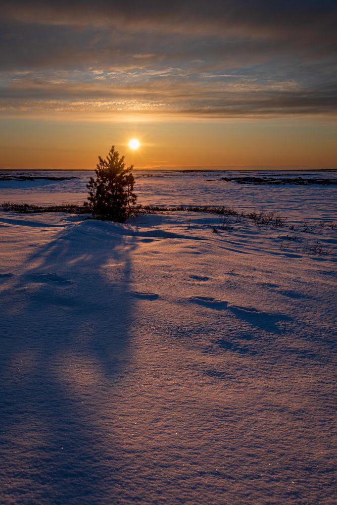 Вечер в ямальский тундре