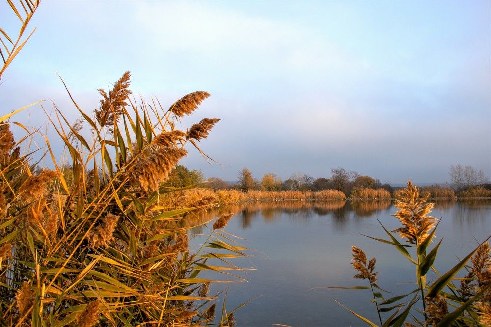 Фотография автора Татьяна Нарайкина