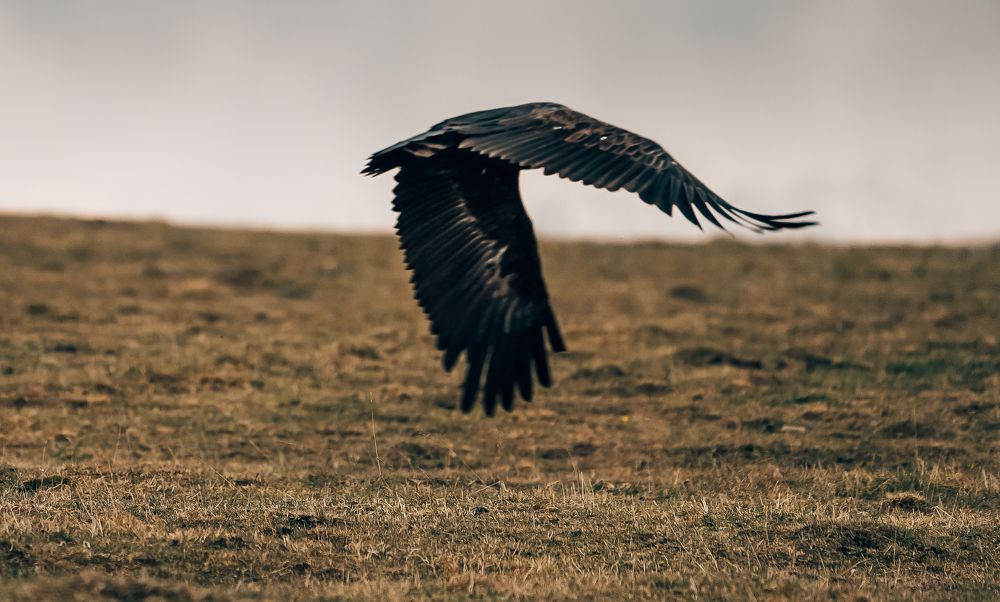 Photograph by Юрий Гаврилов