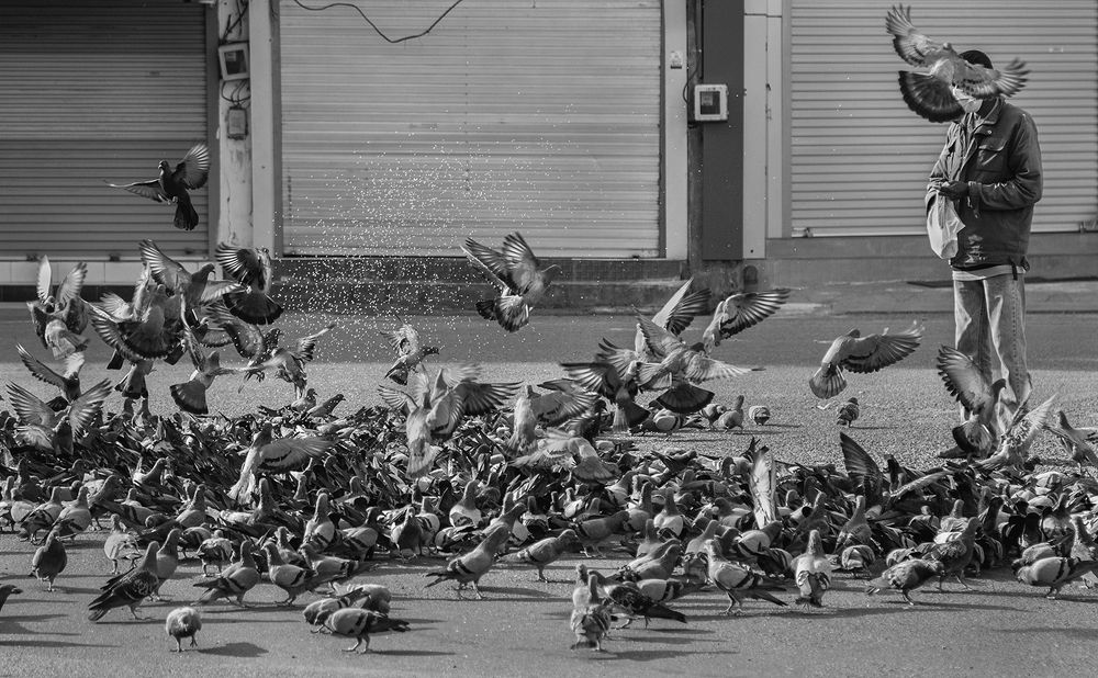 Фотография автора Laddu Sasindu Pramuditha De Silva