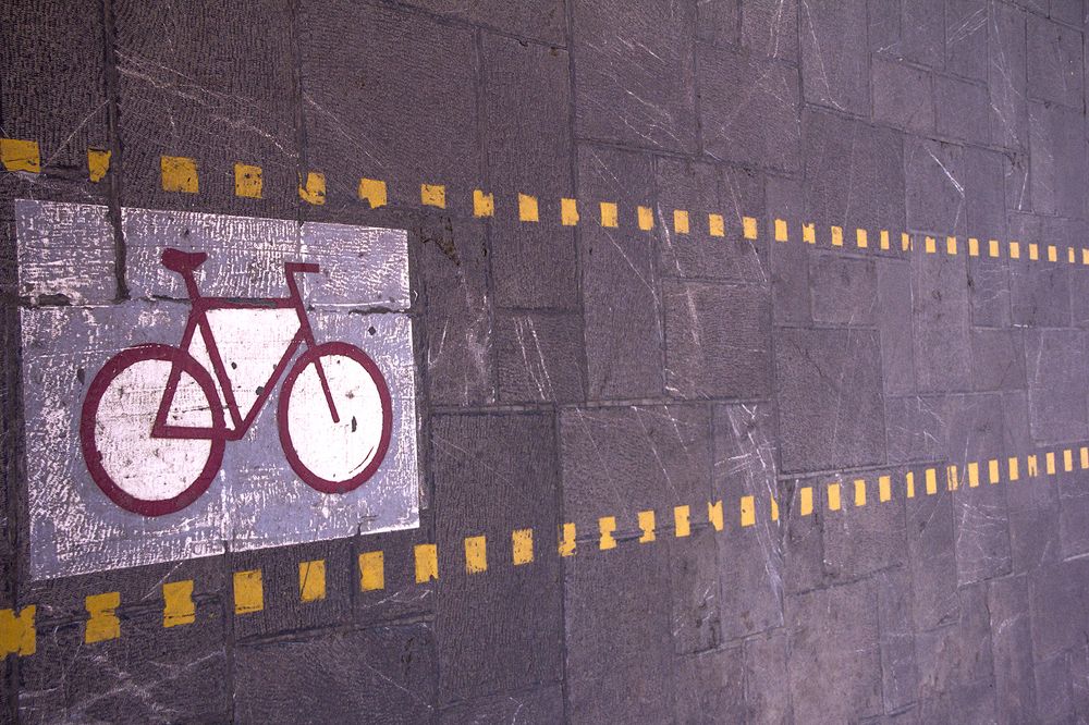 Photograph by behzad homayouninejad